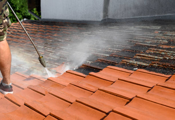 Best Roof Pressure Washing  in Roland, IA